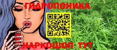 соль ск Будённовск