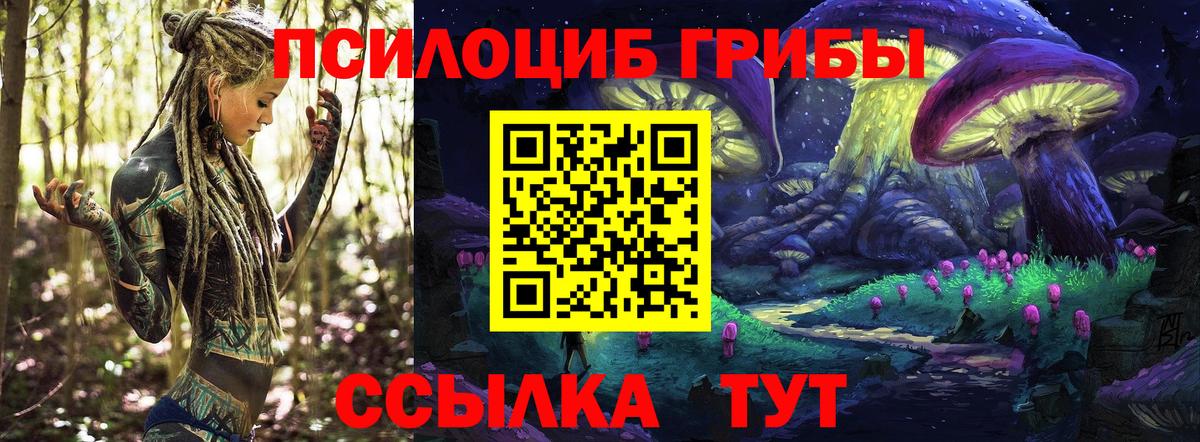 Псилоцибиновые грибы прущие грибы  Вход с VPN  где найти наркотики  Орёл 